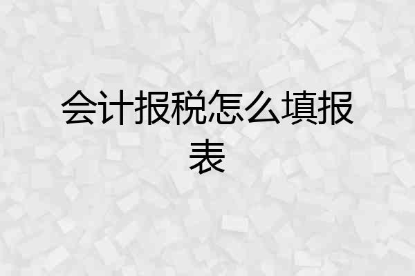 会计报税怎么填报表