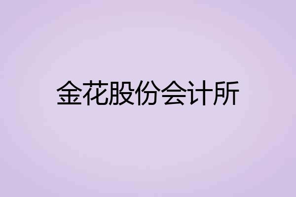 金花股份会计所