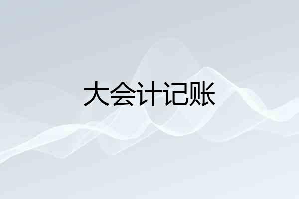 大会计记账