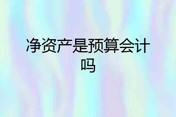 净资产是预算会计吗