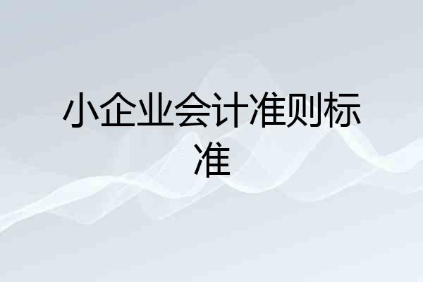 小企业会计准则标准