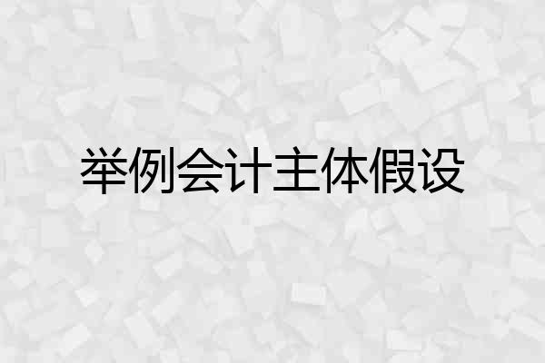 举例会计主体假设