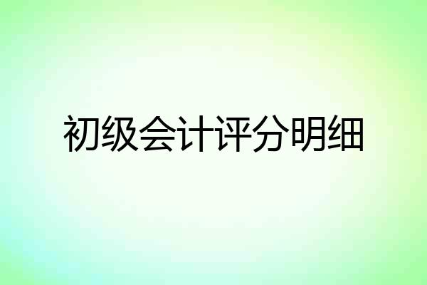 初级会计评分明细
