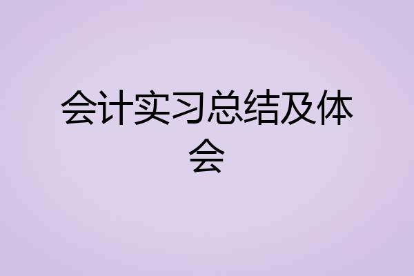 会计实习总结及体会