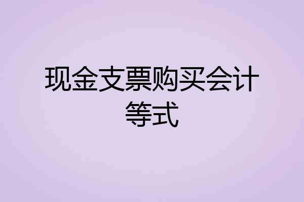 现金支票购买会计等式