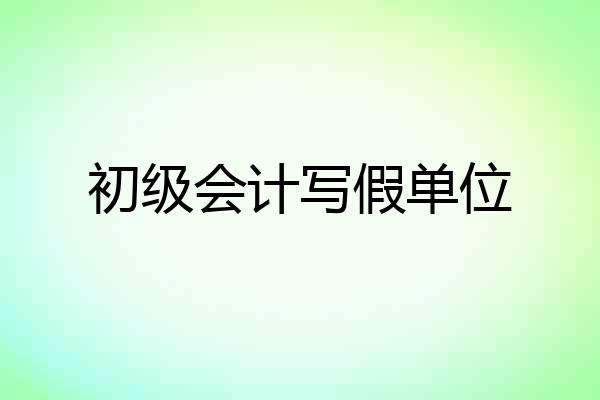 初级会计写假单位