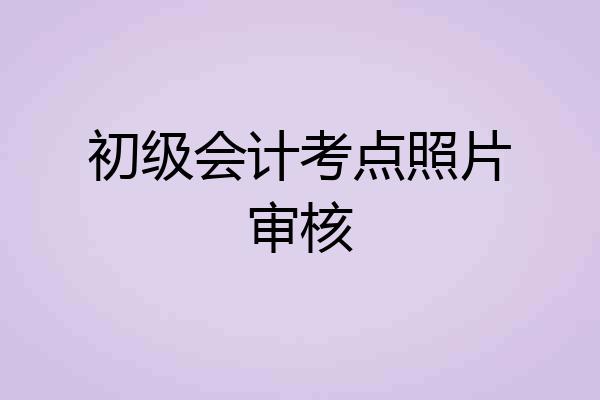 初级会计考点照片审核