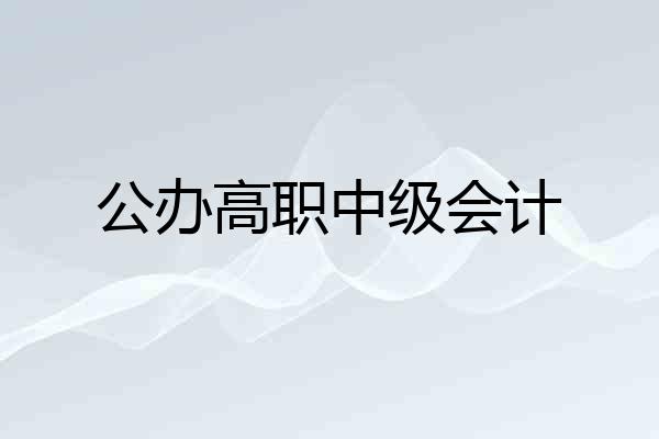 公办高职中级会计