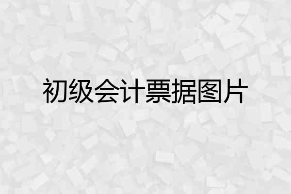 初级会计票据图片