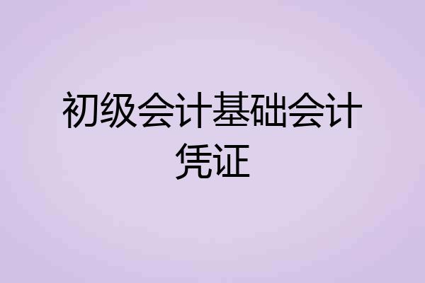 初级会计基础会计凭证