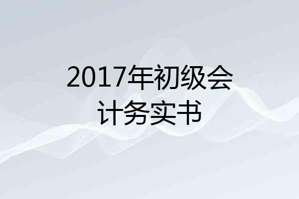 2017年初级会计务实书