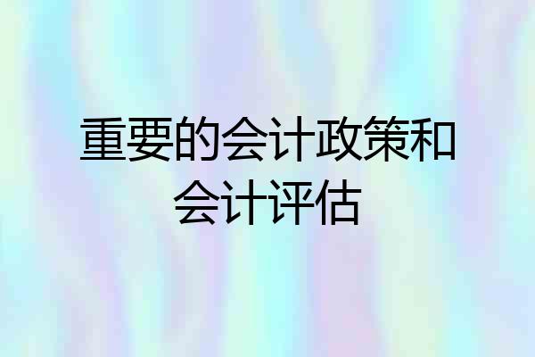 重要的会计政策和会计评估