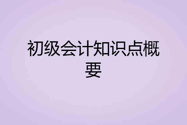 初级会计知识点概要
