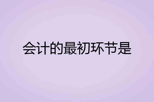 会计的最初环节是