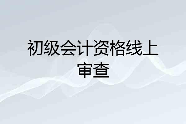 初级会计资格线上审查
