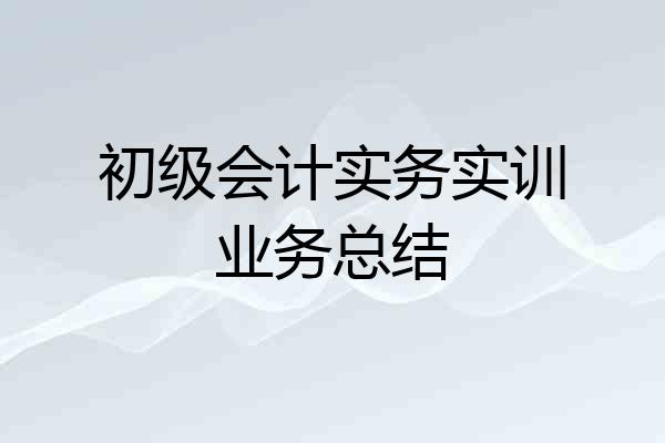 初级会计实务实训业务总结