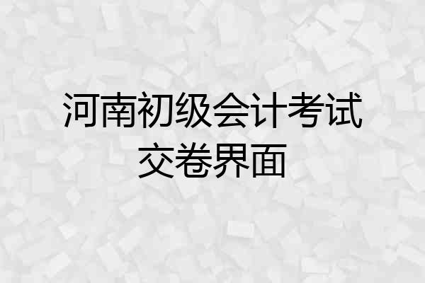 河南初级会计考试交卷界面
