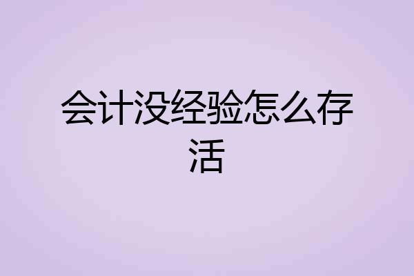 会计没经验怎么存活