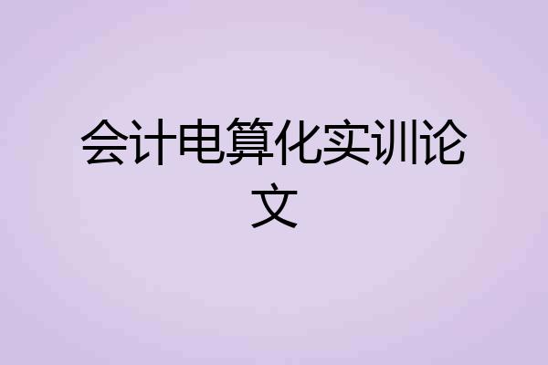 会计电算化实训论文