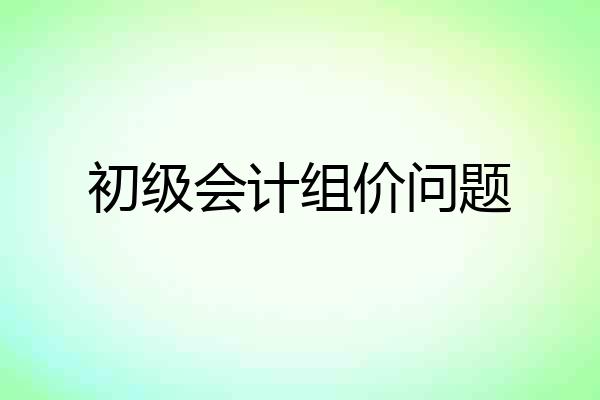 初级会计组价问题