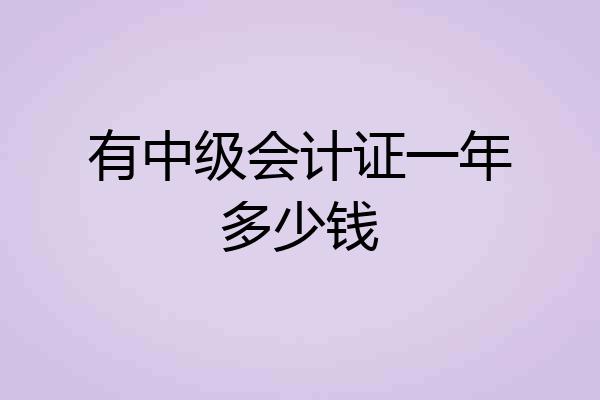 有中级会计证一年多少钱