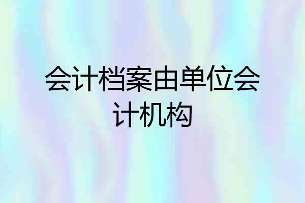 会计档案由单位会计机构