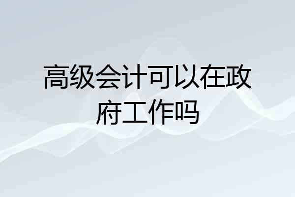 高级会计可以在政府工作吗