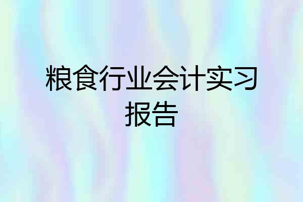粮食行业会计实习报告