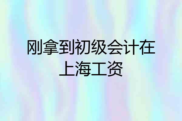 刚拿到初级会计在上海工资