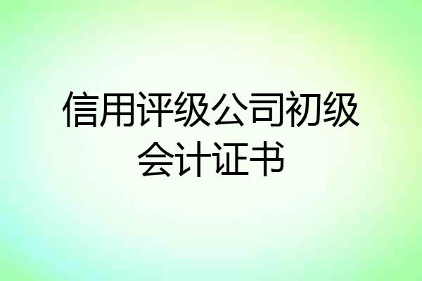 信用评级公司初级会计证书