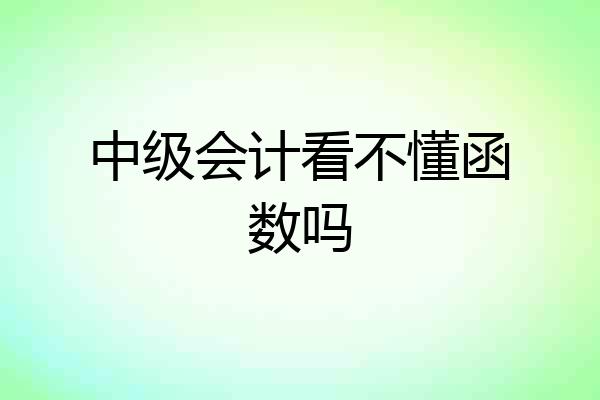 中级会计看不懂函数吗