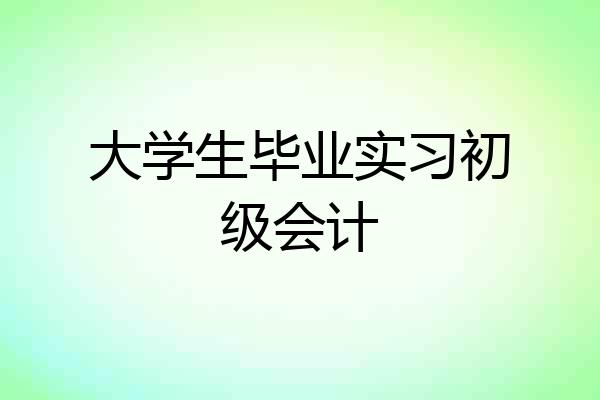 大学生毕业实习初级会计