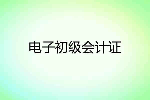 电子初级会计证