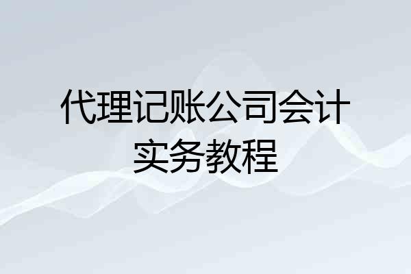 代理记账公司会计实务教程