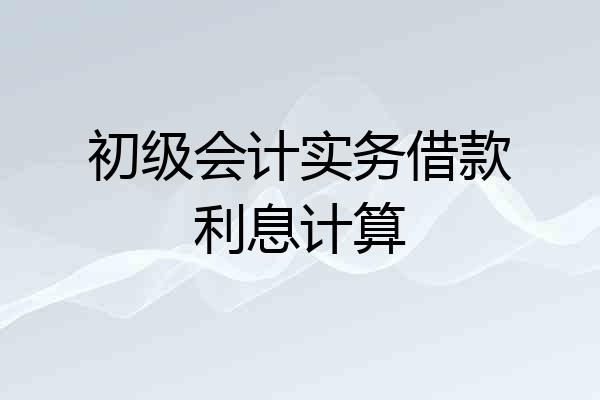 初级会计实务借款利息计算