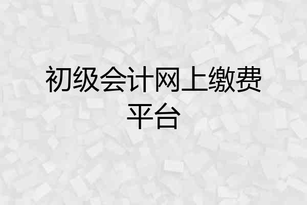 初级会计网上缴费平台