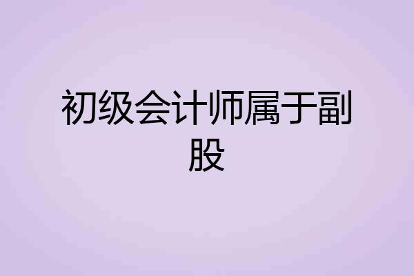 初级会计师属于副股