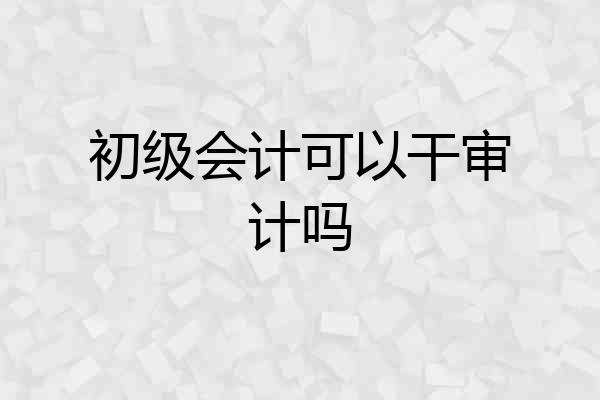 初级会计可以干审计吗