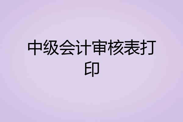 中级会计审核表打印