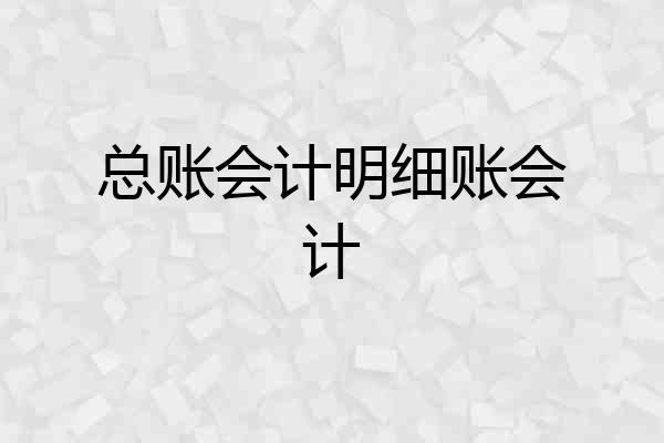 总账会计明细账会计