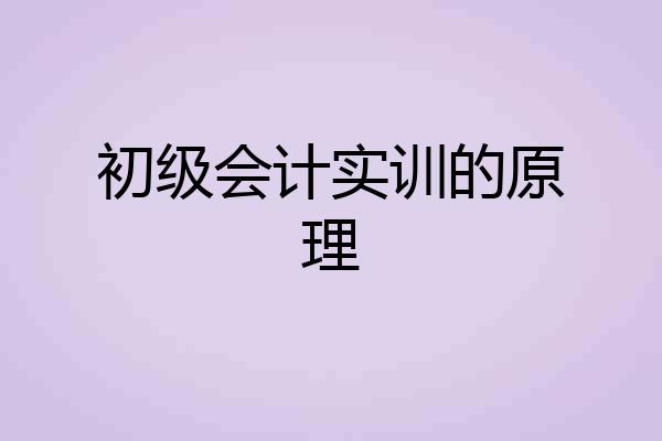 初级会计实训的原理