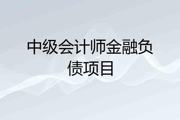 中级会计师金融负债项目
