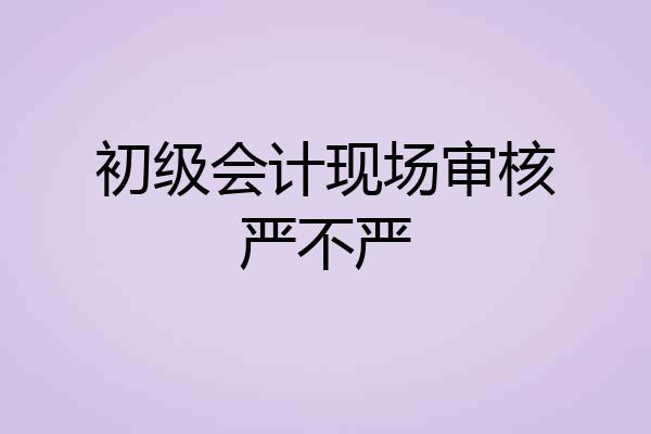 初级会计现场审核严不严
