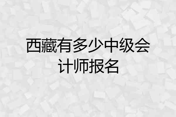 西藏有多少中级会计师报名