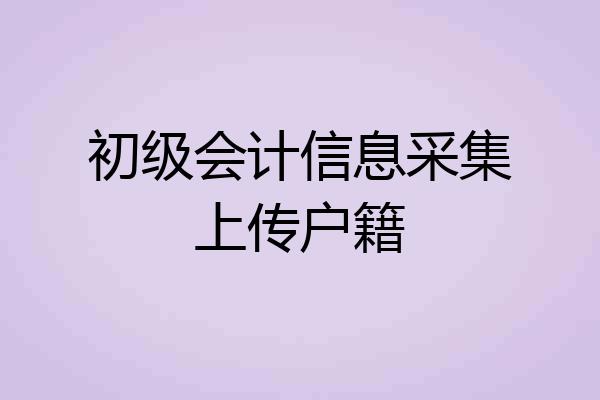 初级会计信息采集上传户籍