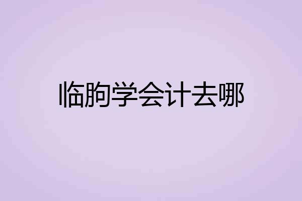 临朐学会计去哪