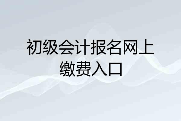 初级会计报名网上缴费入口