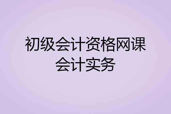 初级会计资格网课会计实务