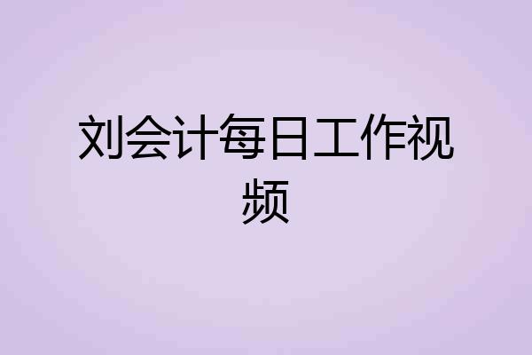 刘会计每日工作视频