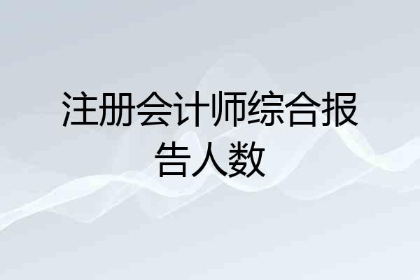注册会计师综合报告人数